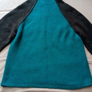 Cozy & Warm Coldwater Creek Teal & Black Mockneck Versatile Style Sweater